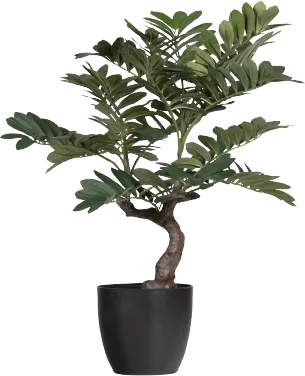 Zamia Kunstplant Groen 76cm