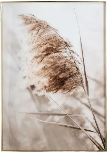 Breeze A